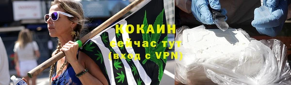дживик Абаза
