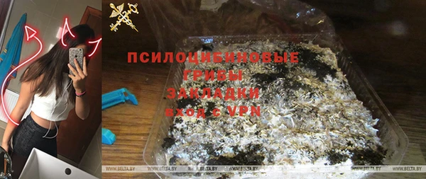 не бодяженный Алексин