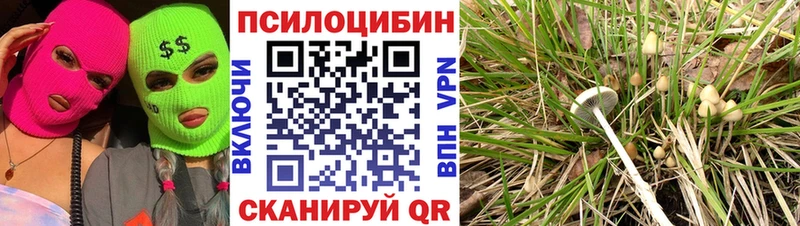 магазин наркотиков Иннополис Псилоцибиновые грибы прущие грибы