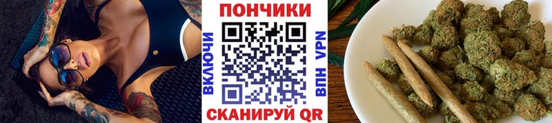 Шишки марихуана марихуана  Иннополис 